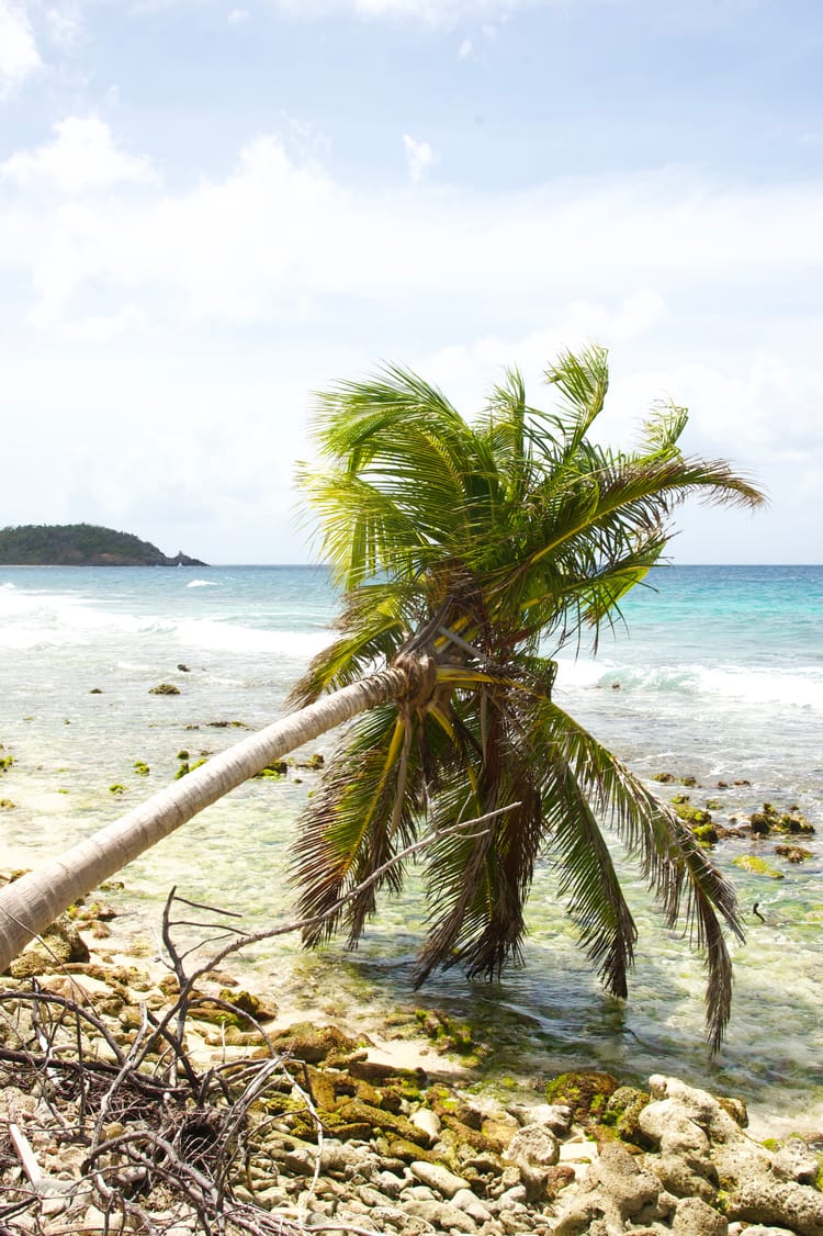 Introducing Spice Frame