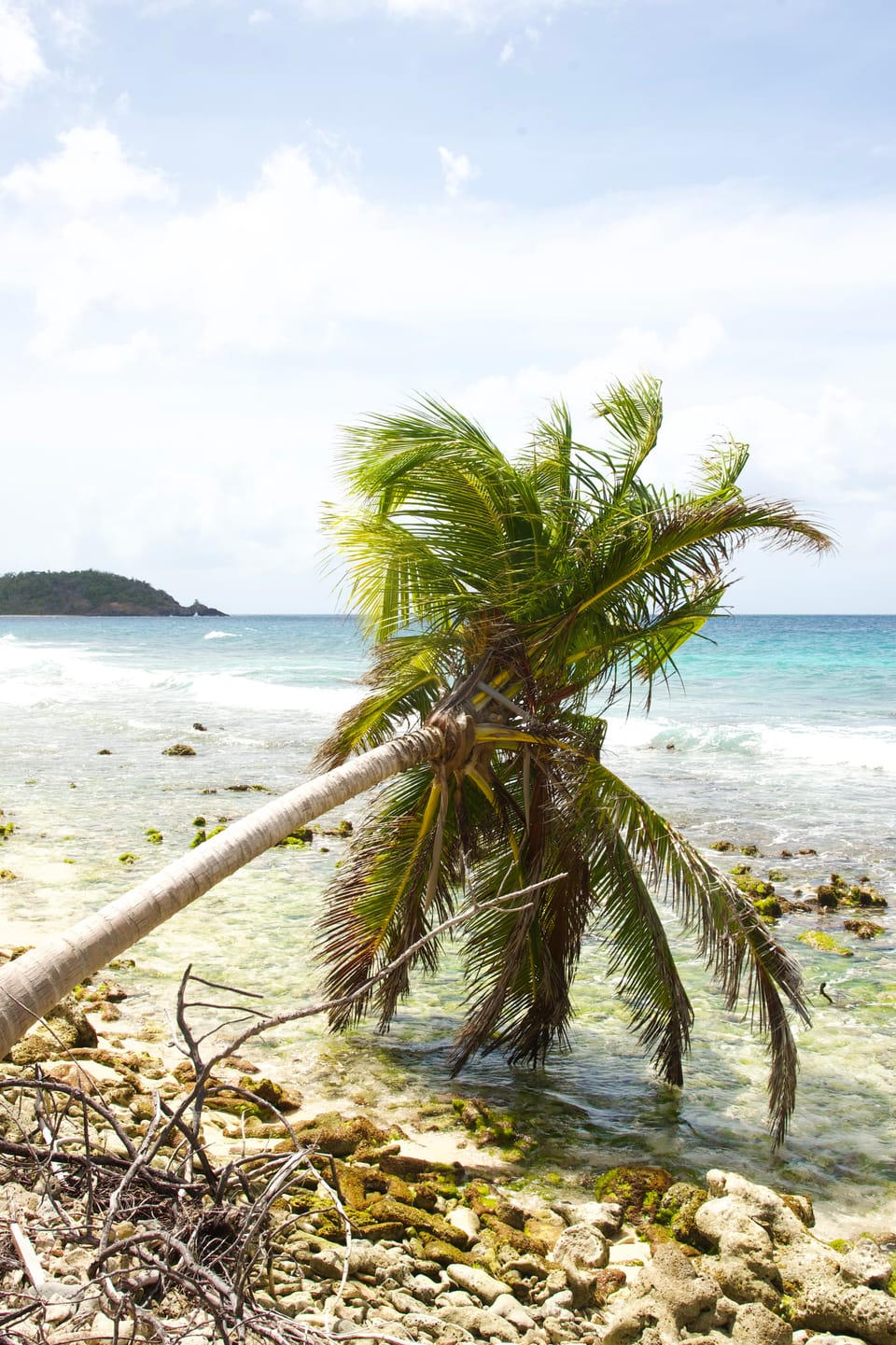 Introducing Spice Frame